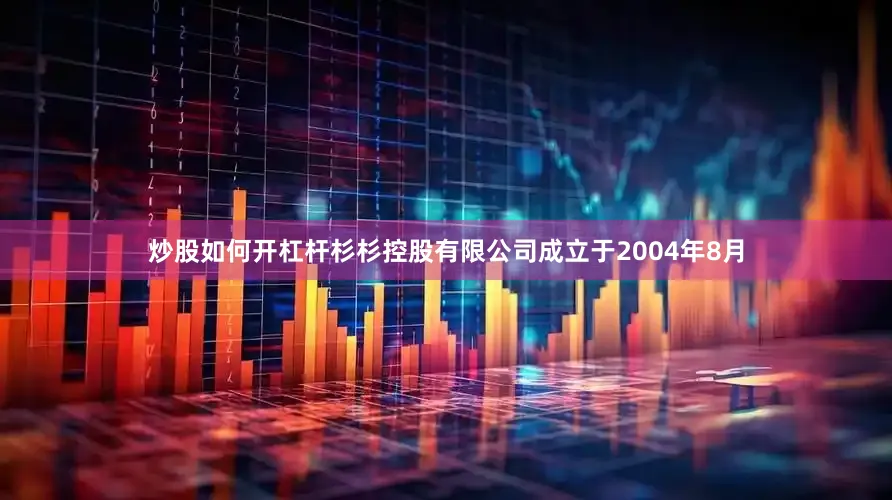 炒股如何开杠杆　　杉杉控股有限公司成立于2004年8月