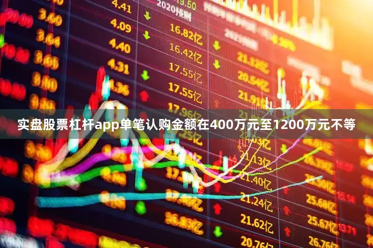 实盘股票杠杆app单笔认购金额在400万元至1200万元不等