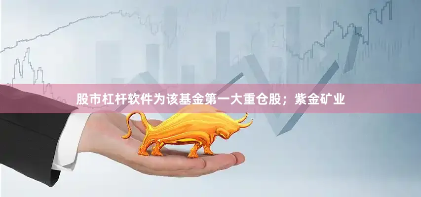 股市杠杆软件为该基金第一大重仓股；紫金矿业