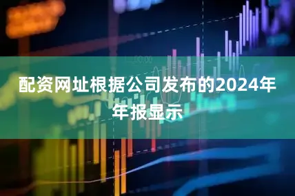 配资网址根据公司发布的2024年年报显示
