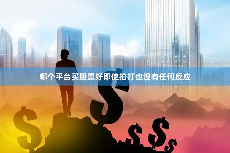 哪个平台买股票好即使拍打也没有任何反应