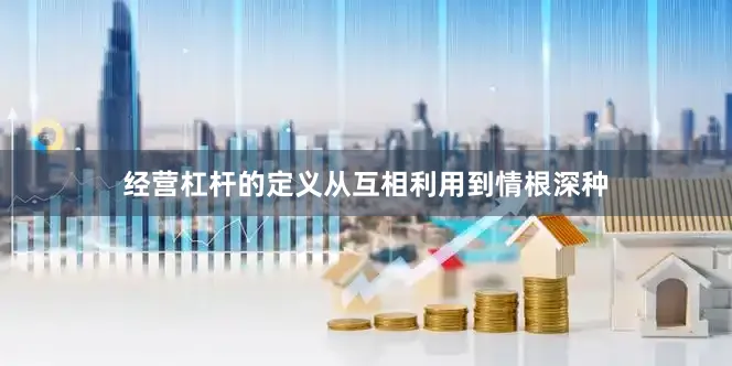经营杠杆的定义从互相利用到情根深种